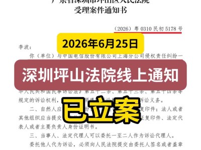 2026年6月25日，深圳坪山法院线上通知已立案
