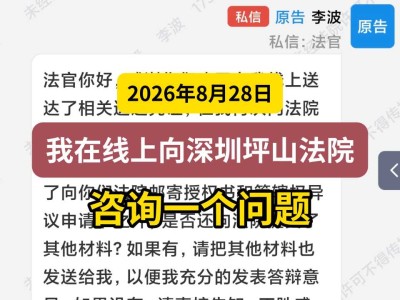 2026年8月28日，我在线上向深圳坪山法院咨询一个问题