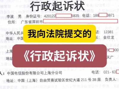我向法院提交的《行政起诉状》