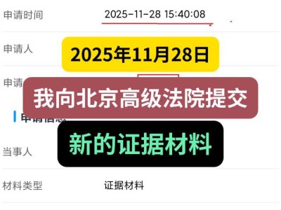 2025年11月28日，我向北京高级法院提交新的证据材料