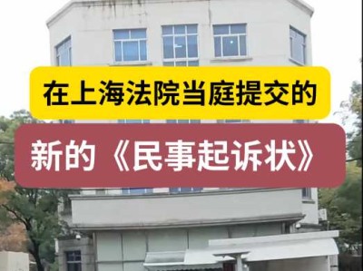 《判决书》【(2024)沪0115民初103210号】对应的,我新的《民事起诉状》